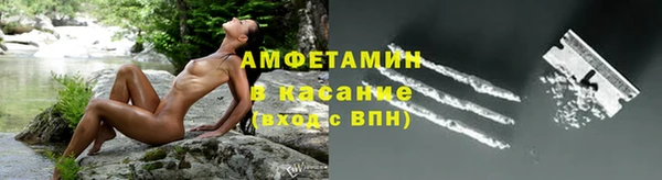 ГАЛЛЮЦИНОГЕННЫЕ ГРИБЫ Корсаков