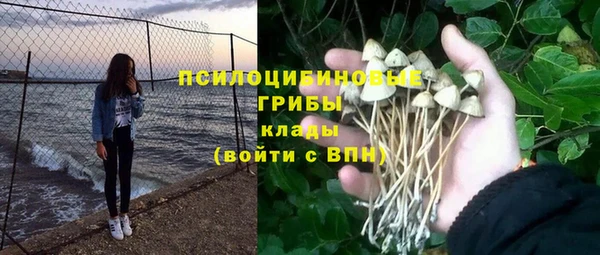твердый Костерёво