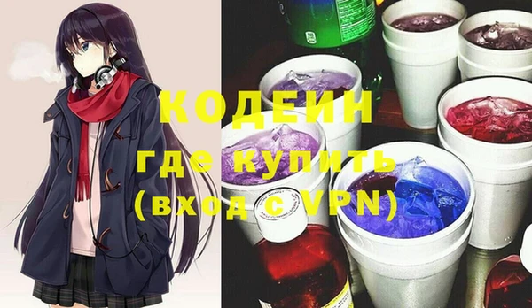 ГАЛЛЮЦИНОГЕННЫЕ ГРИБЫ Корсаков