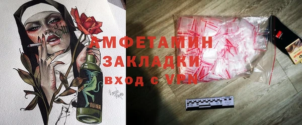 ГАЛЛЮЦИНОГЕННЫЕ ГРИБЫ Корсаков