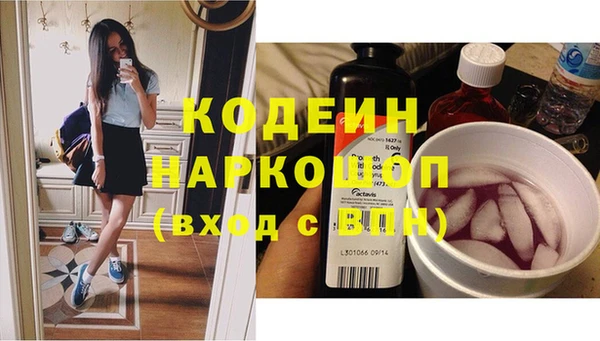 ГАЛЛЮЦИНОГЕННЫЕ ГРИБЫ Корсаков