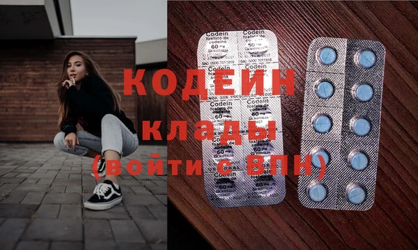 ГАЛЛЮЦИНОГЕННЫЕ ГРИБЫ Корсаков