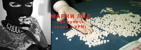 ГАЛЛЮЦИНОГЕННЫЕ ГРИБЫ Корсаков
