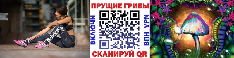 Купить где  Керчь  Псилоцибиновые грибы прущие грибы 